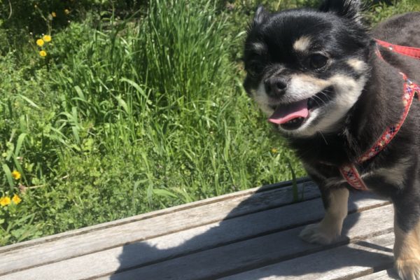 昨日のお天気が嘘みたいに