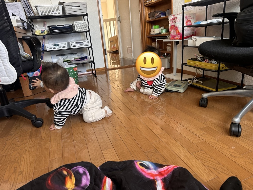 ウィルピースモニタリングデイ！