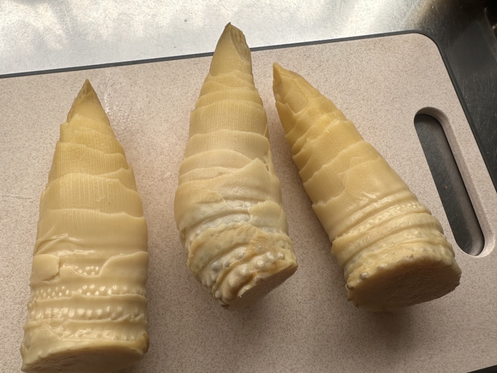 本日は仲良くさせて頂いている訪問看護の「はるか」さんから筍の差し入れを頂きました♪