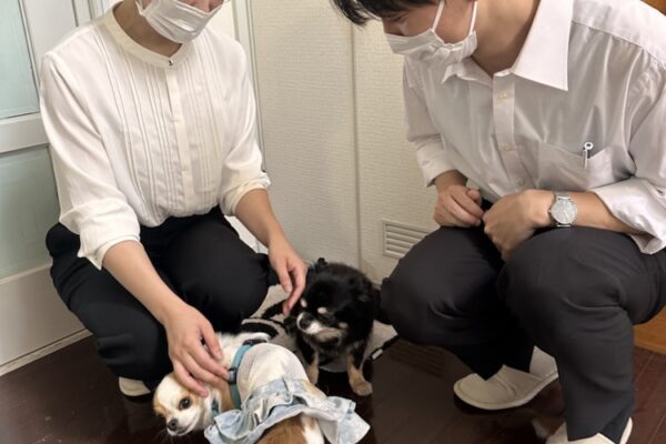 「未来の看護士さん」