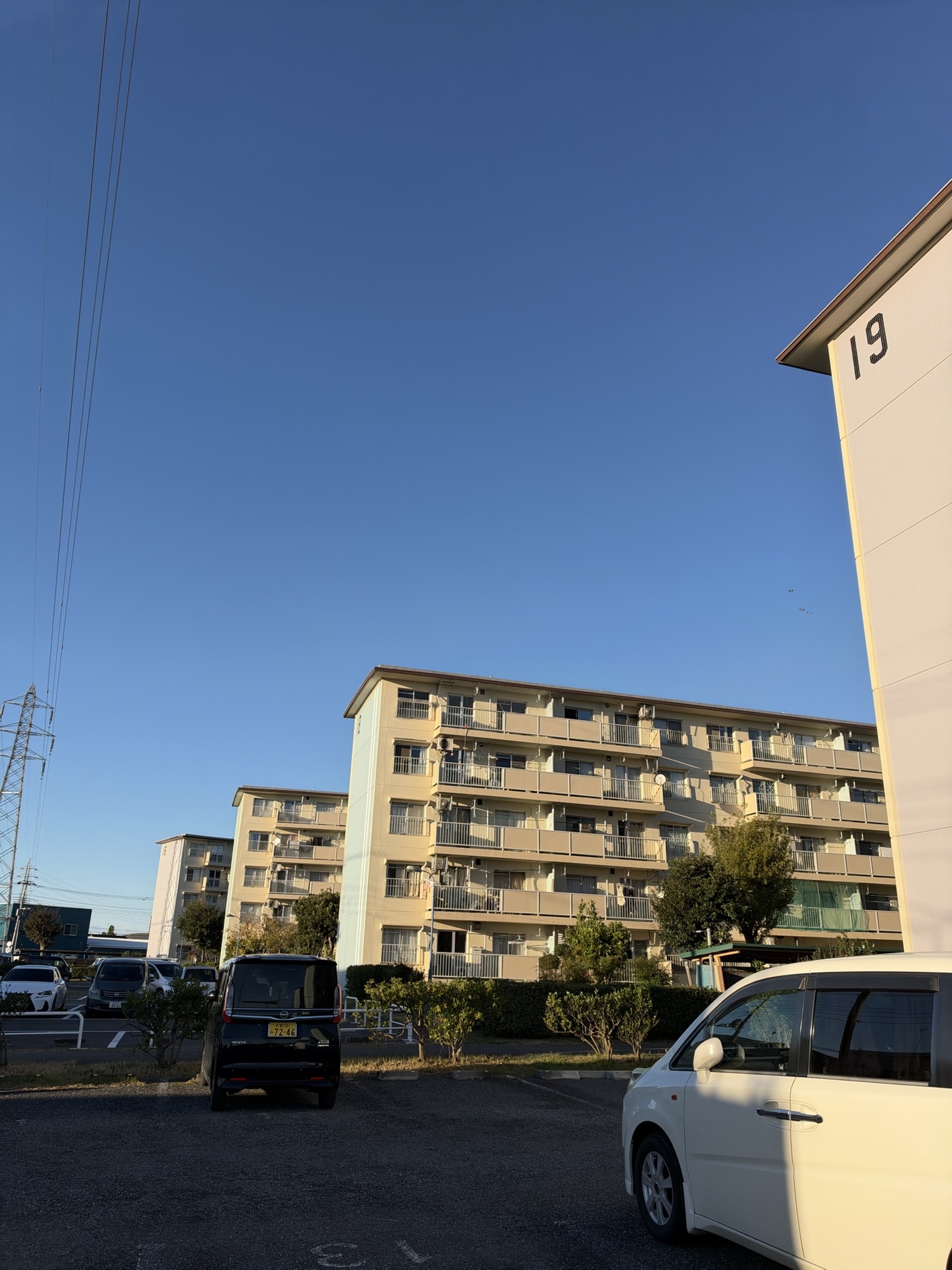 「冬物を取りに行くだけ」のはずだった。
